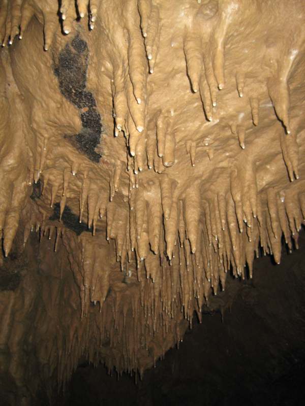 Kostanjeviška jama