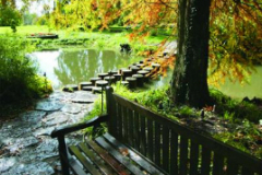 arboretum-volcji-potok2