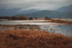 cerknica-lake