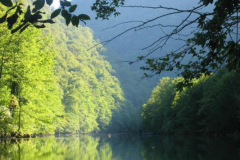 kolpa1