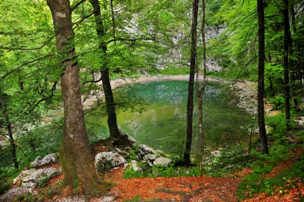Divje jezero