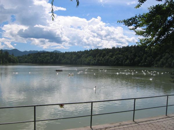 Zbiljsko jezero