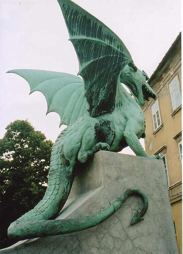Zmaj
