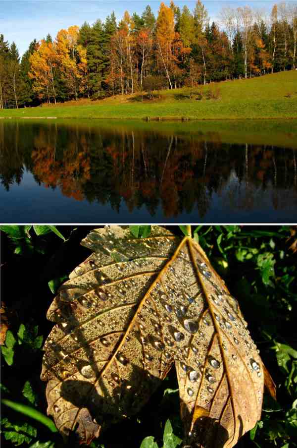 Ivarčko jezero
